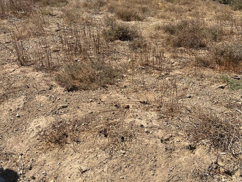 A view of an undeveloped residential vacant land plot featuring natural dry vegetation and open terrain.