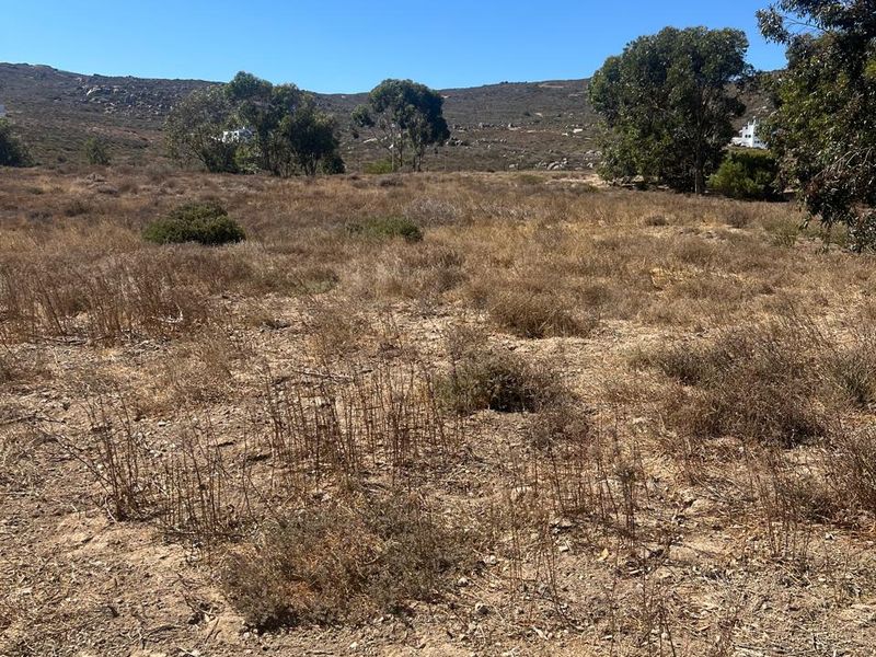 A view of a vacant residential plot featuring natural dry vegetation and open terrain under a clear blue sky.