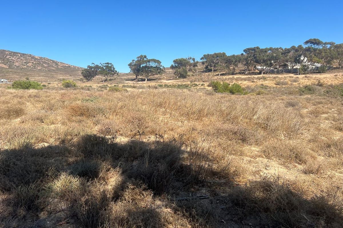 A view of a vacant residential plot featuring natural dry vegetation and a gentle slope with distant trees.