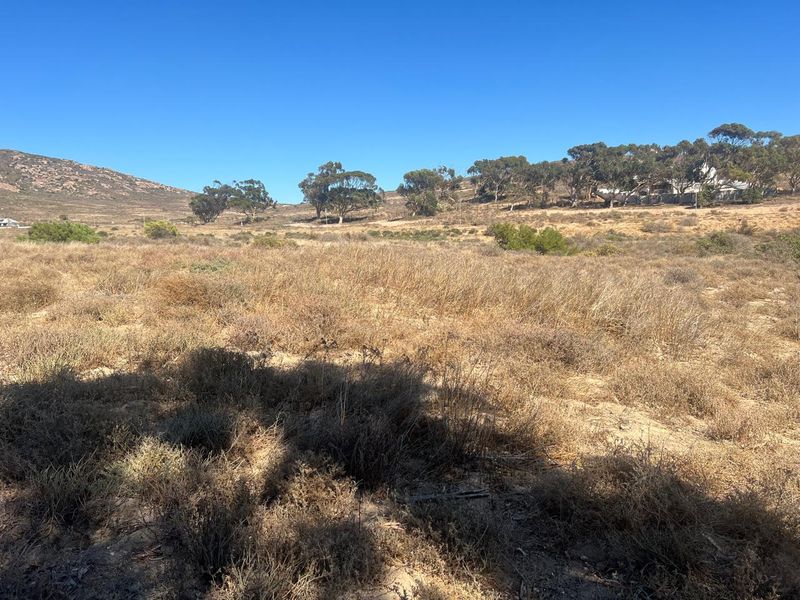 A view of a vacant residential plot featuring natural dry vegetation and a gentle slope with distant trees.