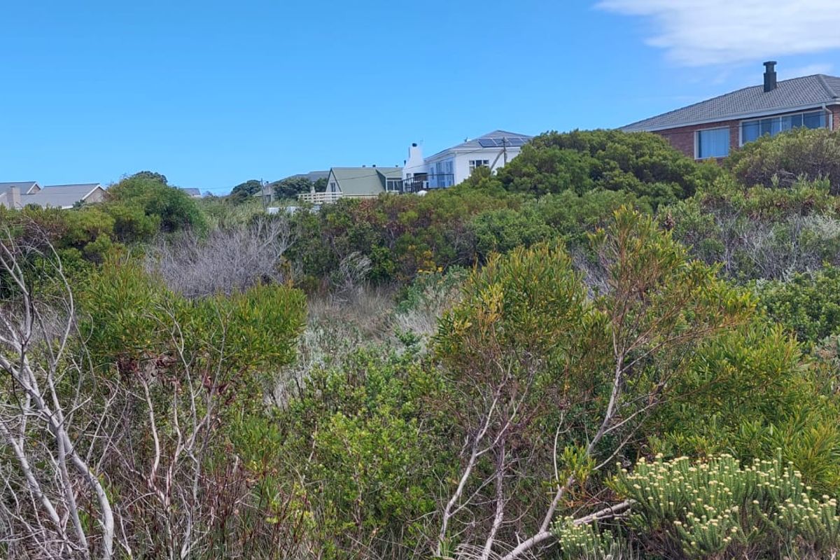 Vacant Land - Photo 5