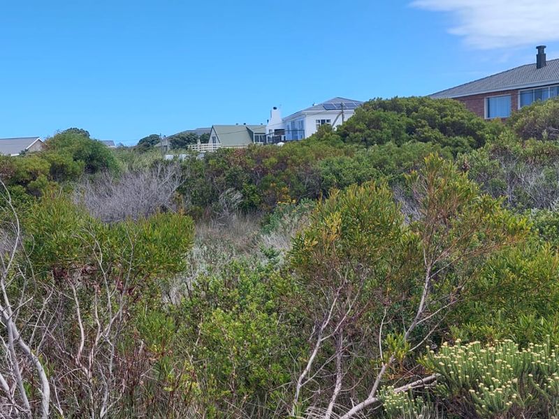 Vacant Land - Photo 5