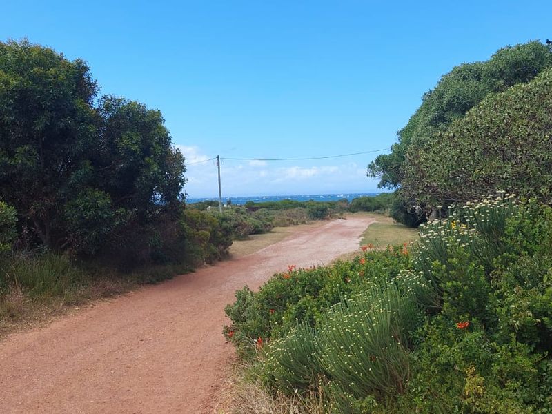 Vacant Land - Photo 6