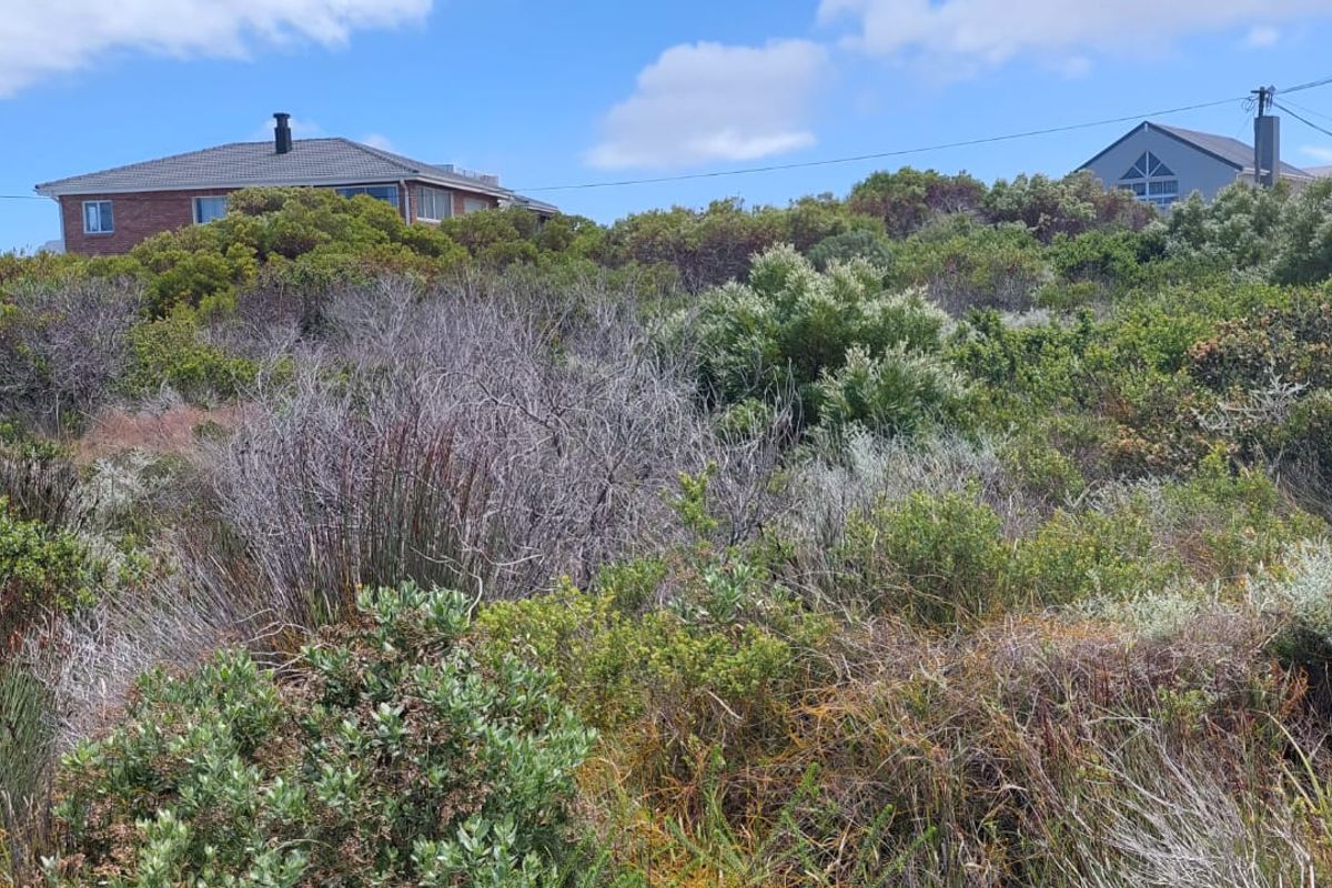 Vacant Land - Photo 4