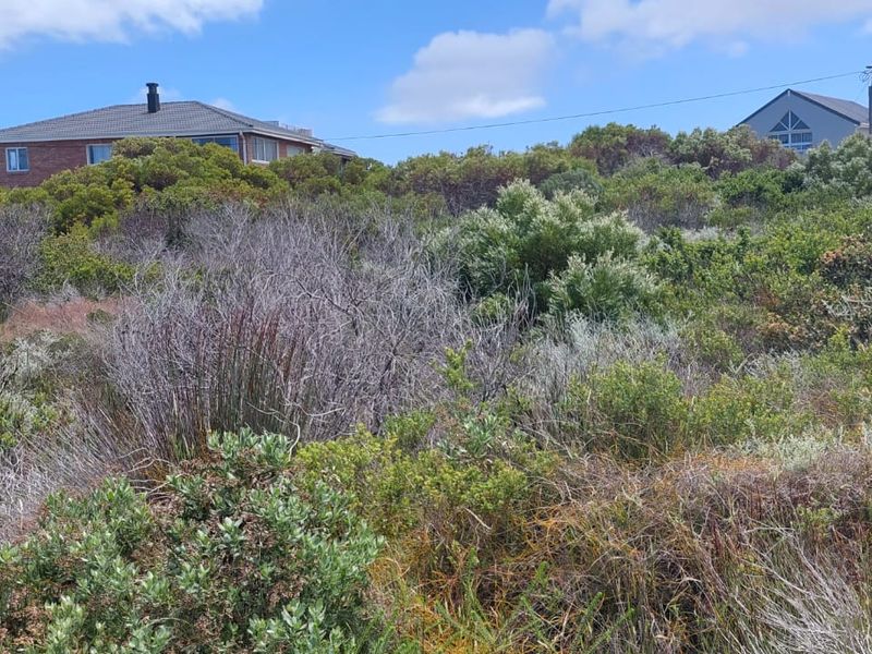 Vacant Land - Photo 4