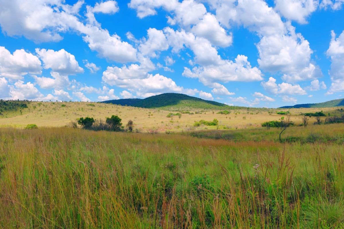 Farm for sale,Modimolle - Photo 5