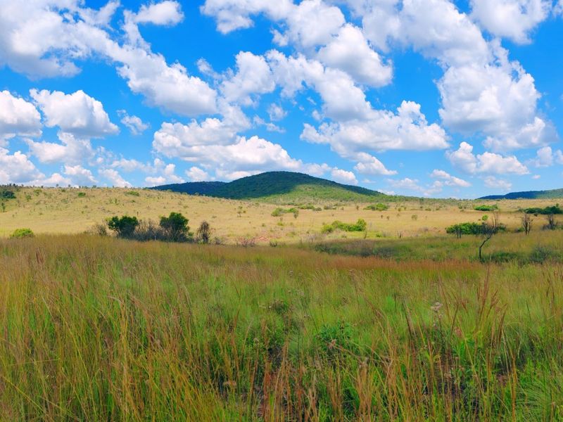 Farm for sale,Modimolle - Photo 5