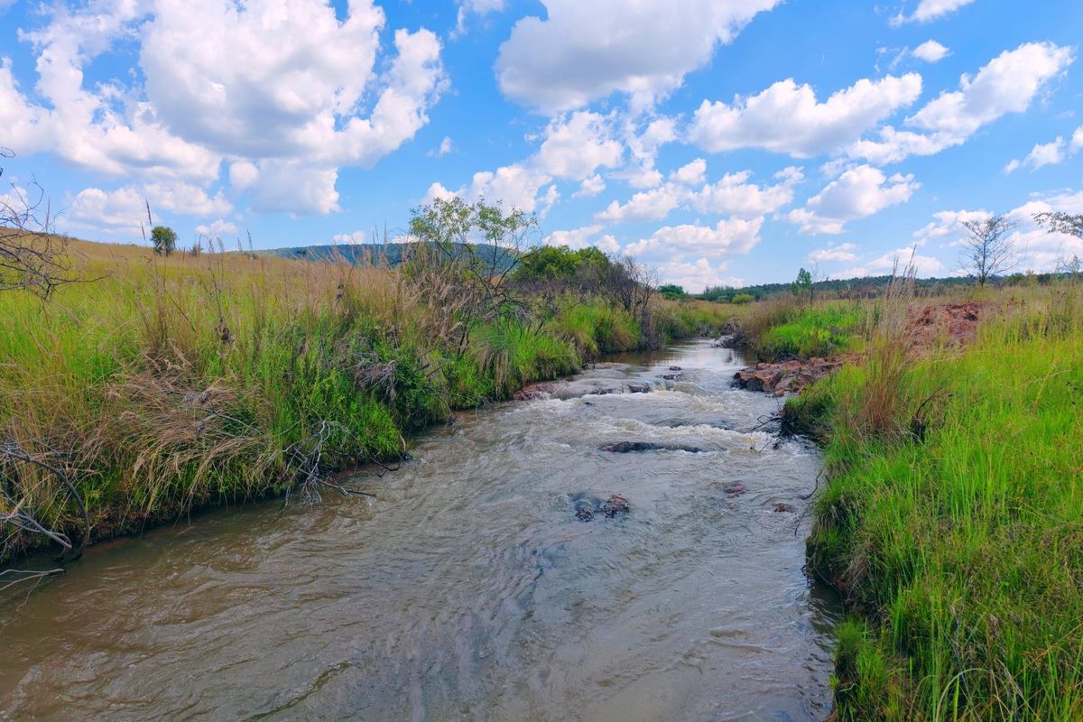 Farm for sale,Modimolle - Photo 4