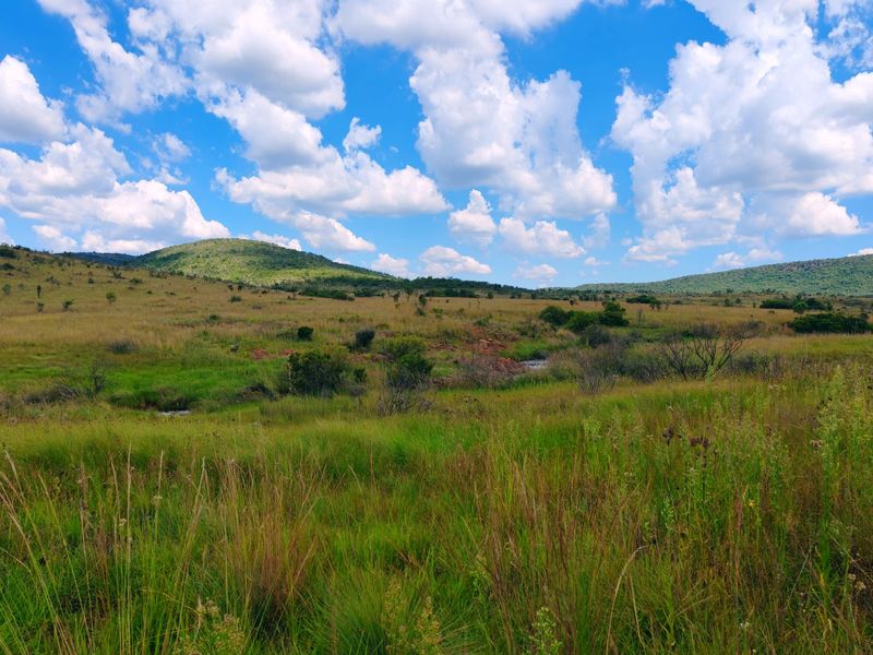 Farm for sale,Modimolle - Photo 10