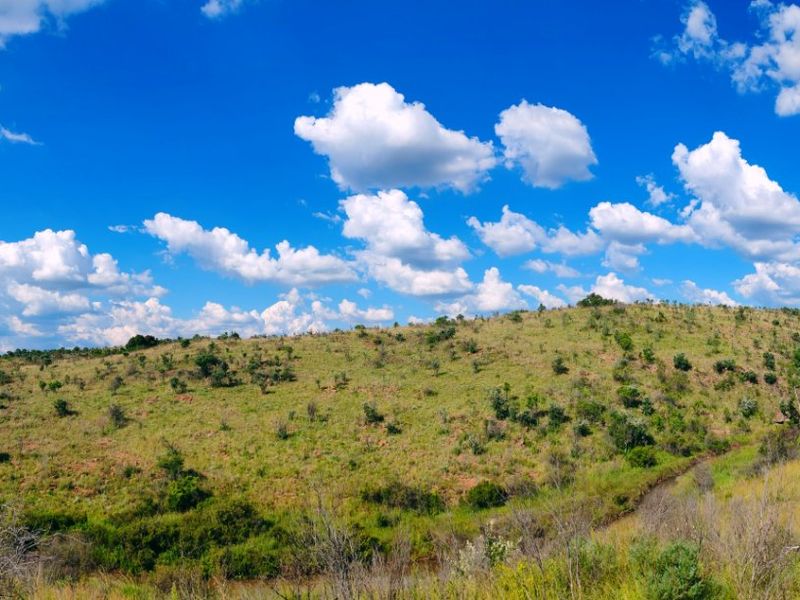 Farm for sale,Modimolle - Photo 6