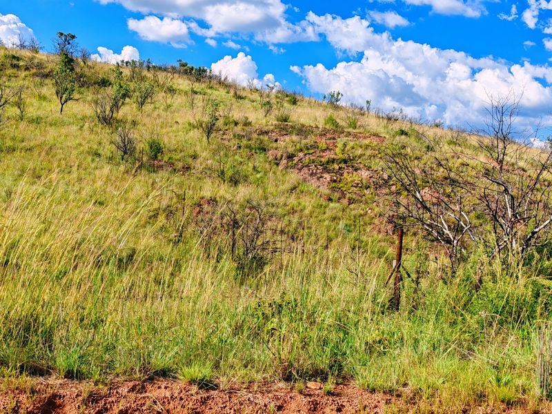 Farm for sale,Modimolle - Photo 9