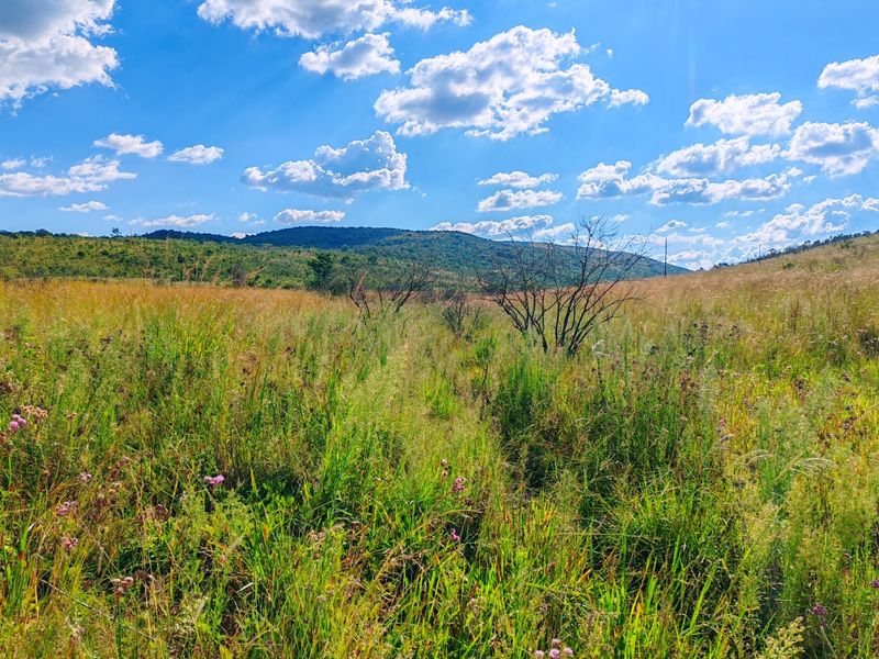 Farm for sale,Modimolle - Photo 8