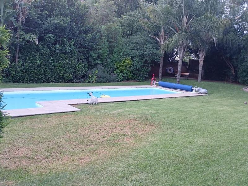 5 Bed 5 Bath 3 Garden apartments on this Amazing Property - Photo 6