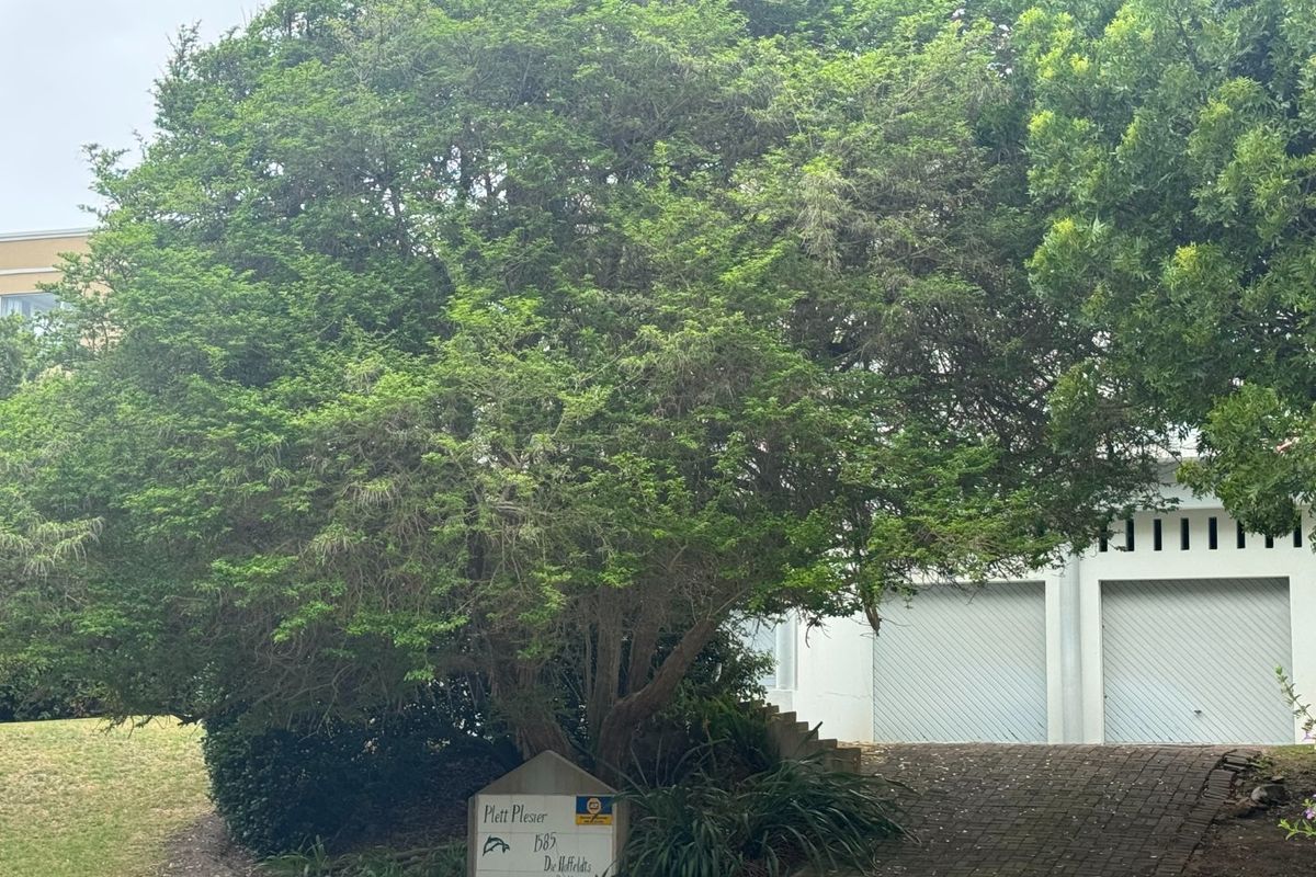 Prime Robberg Location – Renovate, Rebuild, Reap the Rewards - Photo 3