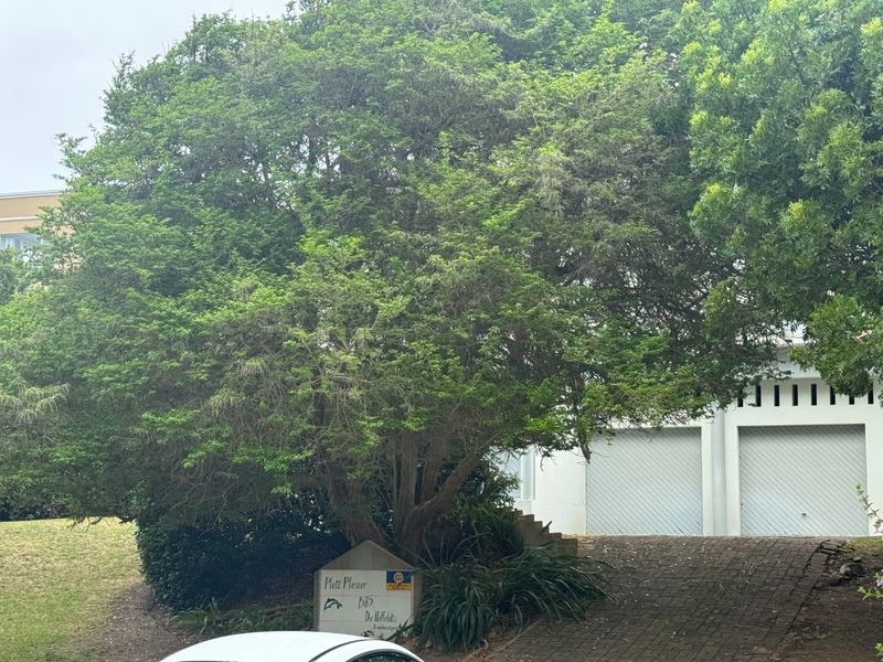 Prime Robberg Location – Renovate, Rebuild, Reap the Rewards - Photo 3