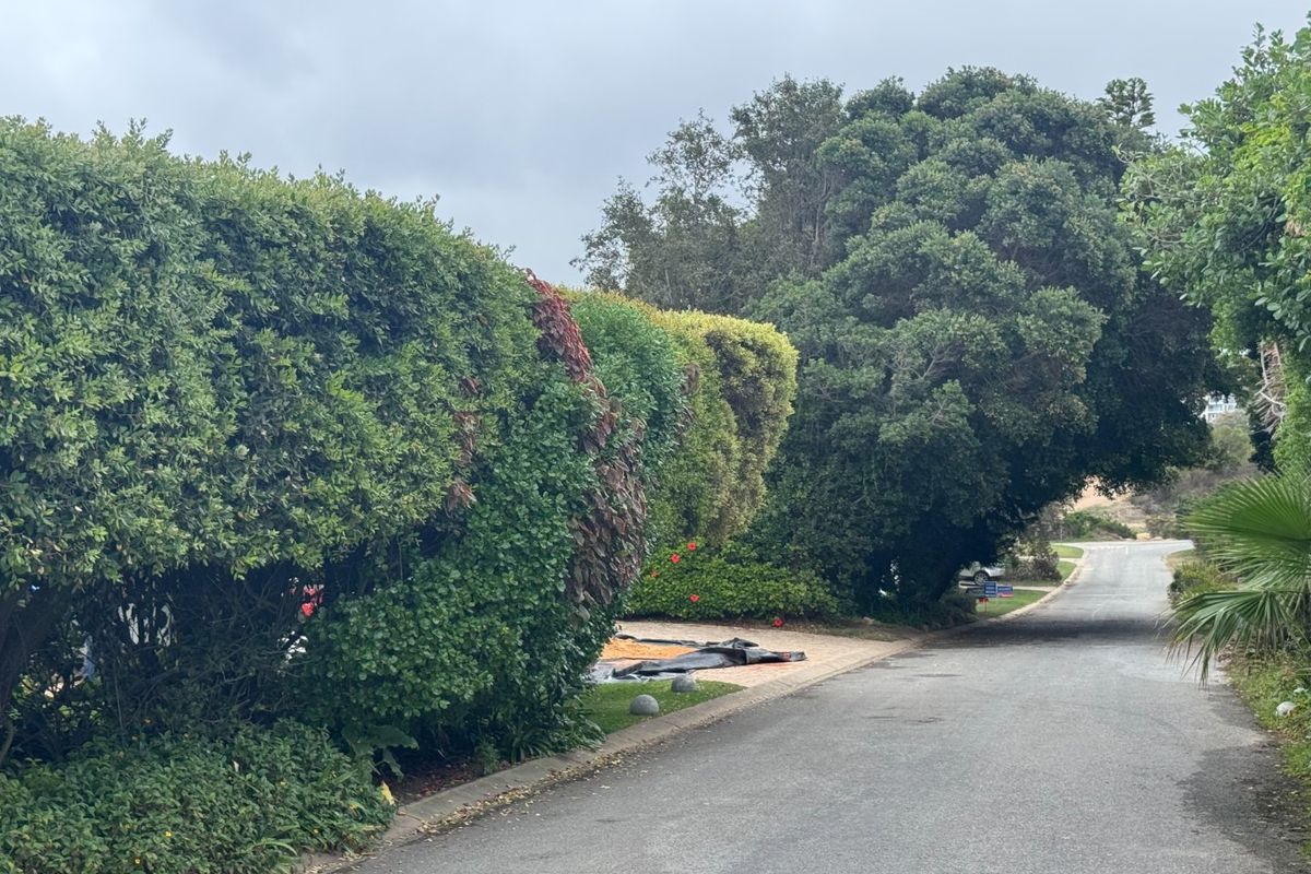 Prime Robberg Location – Renovate, Rebuild, Reap the Rewards - Photo 5