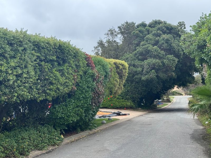 Prime Robberg Location – Renovate, Rebuild, Reap the Rewards - Photo 5