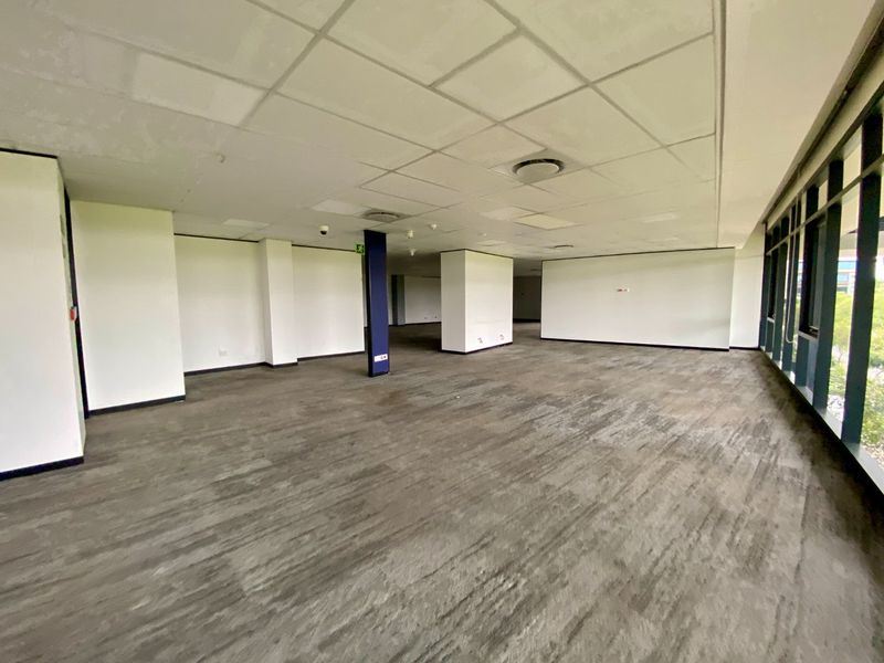 P-Grade Office Space Available In Irene - Photo 8