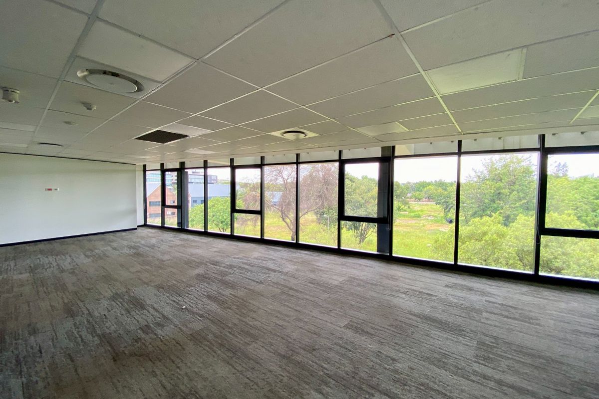 P-Grade Office Space Available In Irene - Photo 4