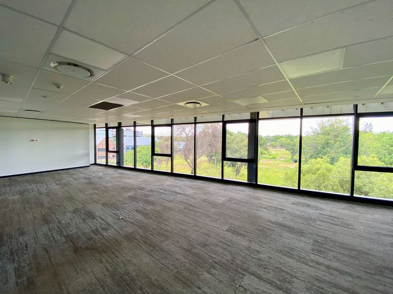 P-Grade Office Space Available In Irene - Photo 4