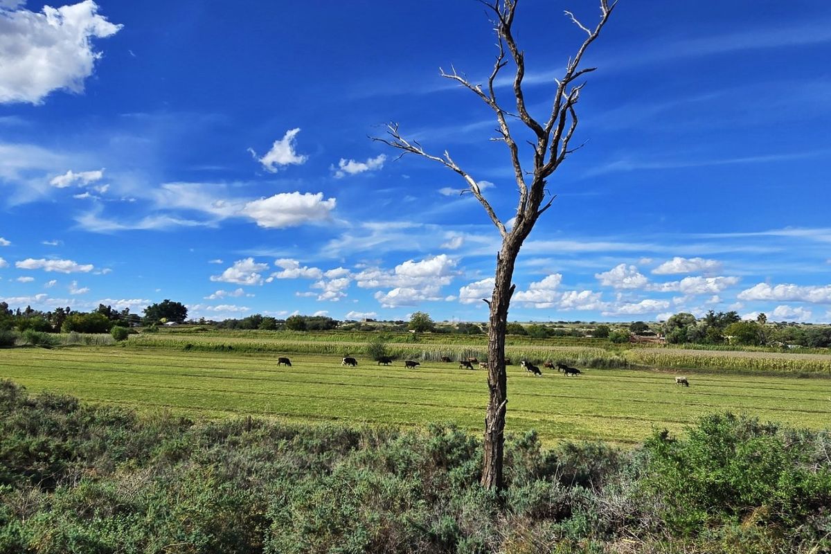 Prime Mixed-Use Agricultural Property for Sale – Louisvale, Near Upington - Photo 3