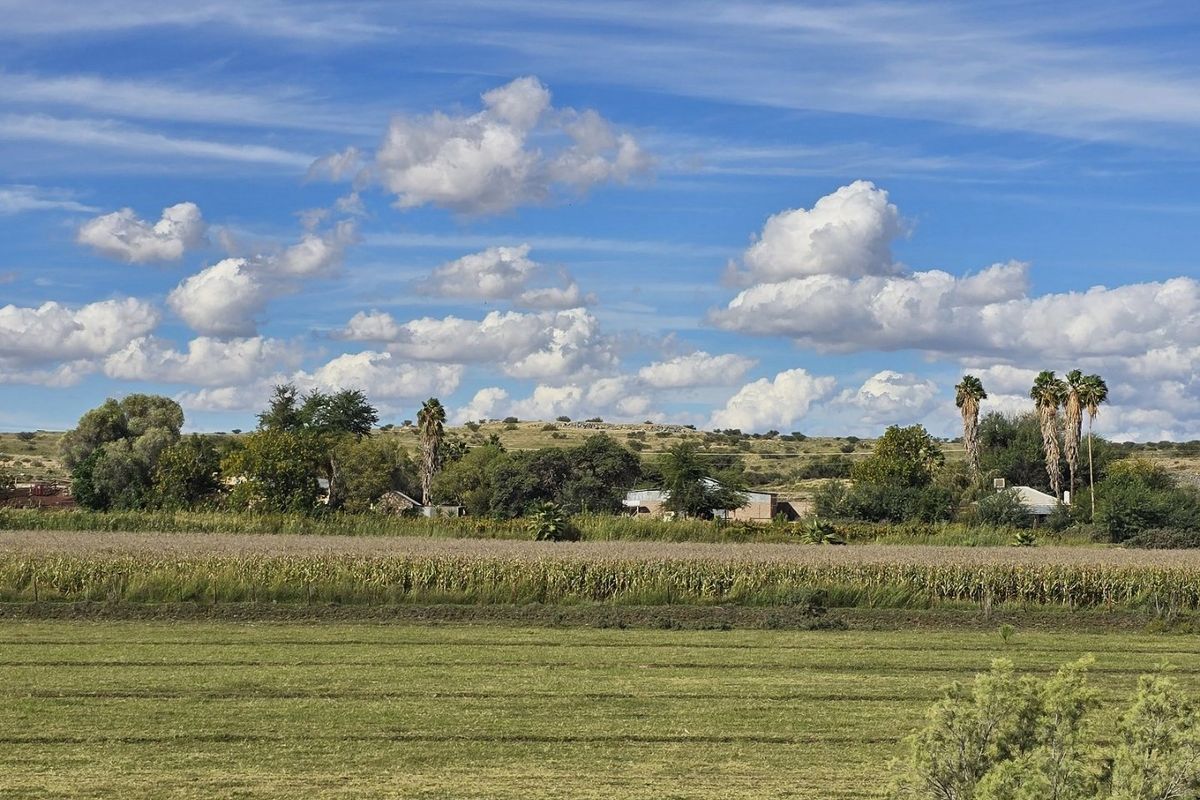 Prime Mixed-Use Agricultural Property for Sale – Louisvale, Near Upington - Photo 4