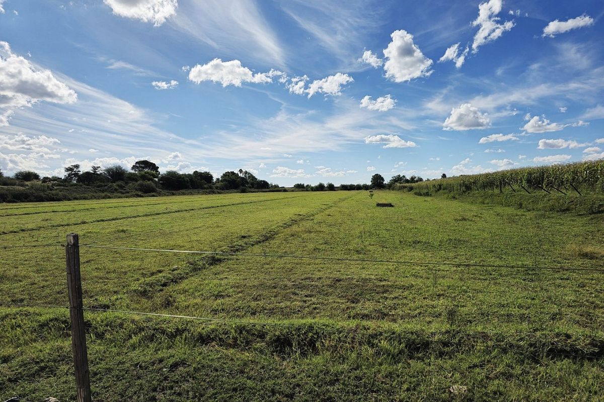 Prime Mixed-Use Agricultural Property for Sale – Louisvale, Near Upington - Photo 5