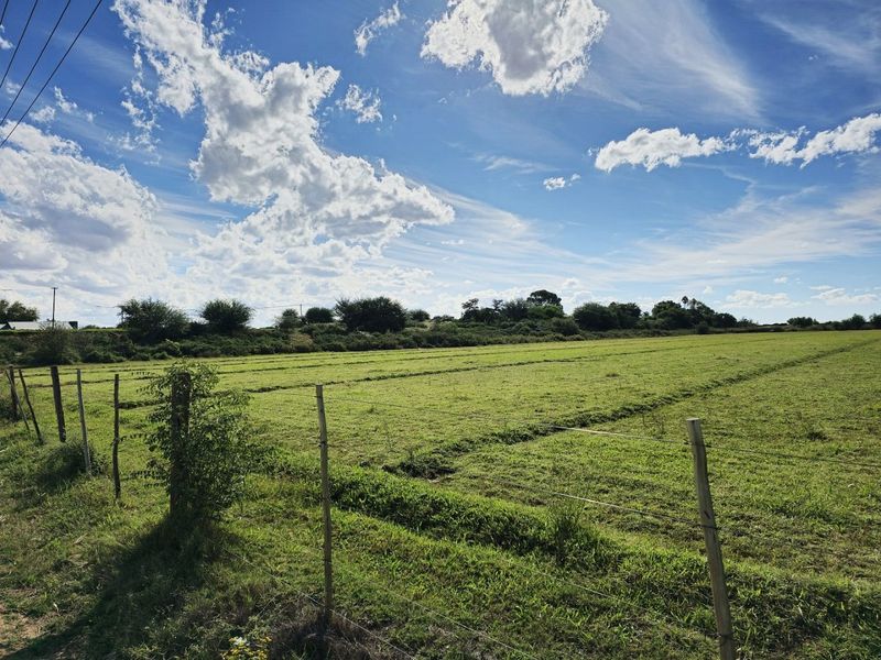 Expansive open pasture land on a farm, enclosed by a wire fence with wooden posts under a clear blue sky.