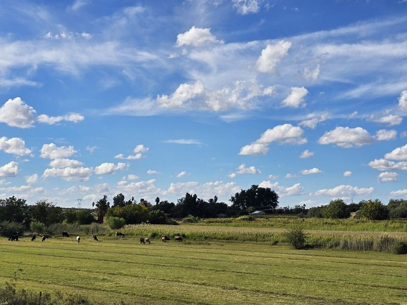 A scenic view of the expansive farm property featuring open green pastures and mature trees under a bright blue sky.