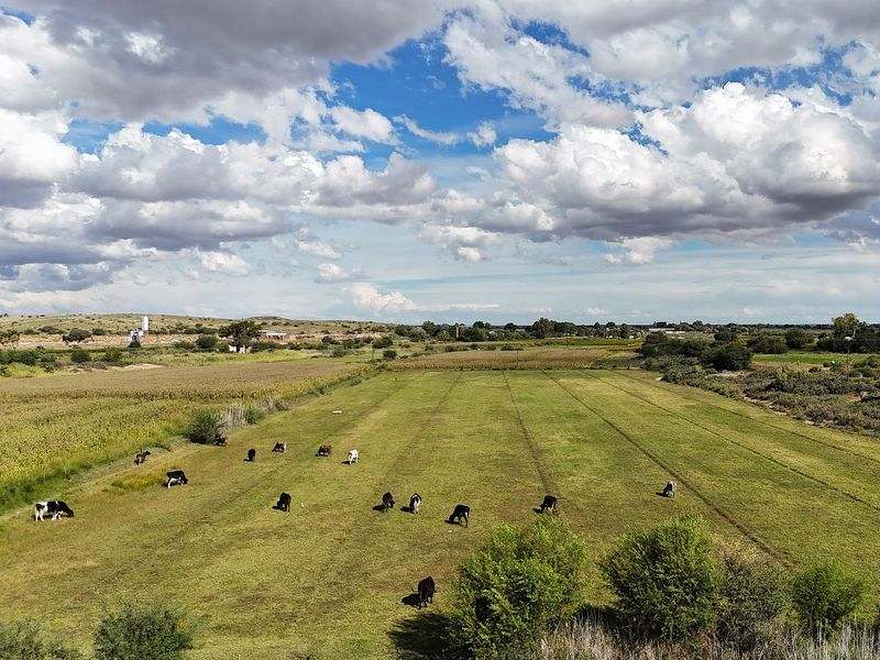 An expansive aerial view of a rural farm landscape featuring open grazing pastures and distant agricultural fields under a cloudy sky.