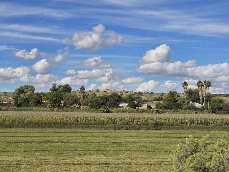 A scenic view of the farm property featuring expansive agricultural crop fields and mature trees under a bright blue sky.