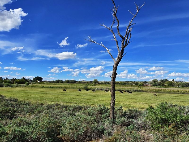 A scenic view of open farmland and pasture on the property, showcasing the expansive rural landscape and natural surroundings.