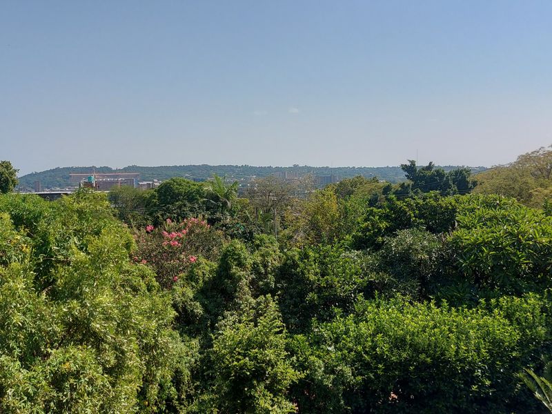 9-Bedroom Property. Commune Rights - Photo 4