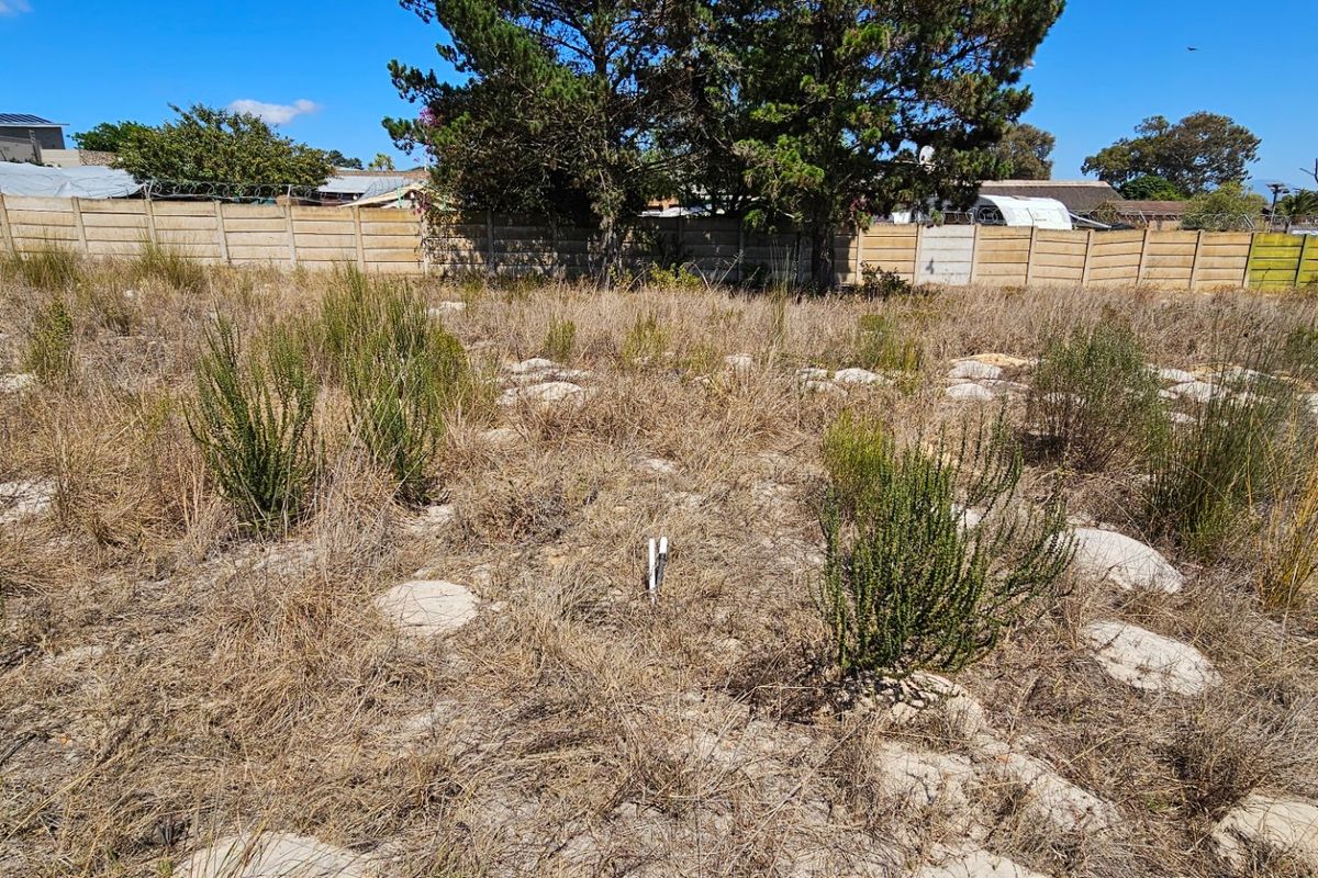 Well priced plot. - Photo 3