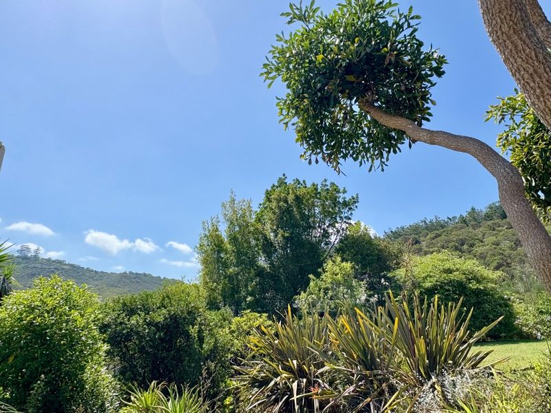 A lush, well-maintained garden featuring mature trees and diverse shrubbery set against a scenic mountain backdrop.