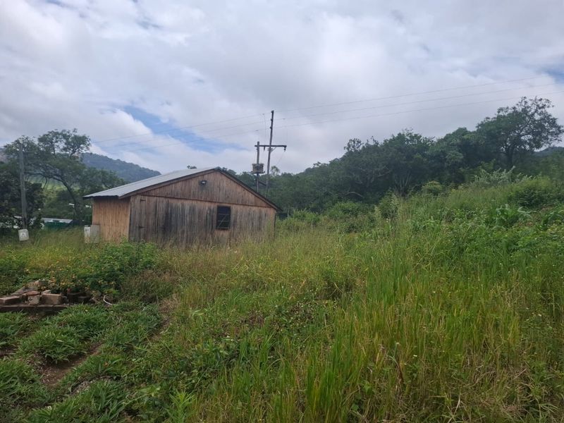 A rustic timber-clad outbuilding situated on a rural farm property, surrounded by overgrown grass and natural landscape.