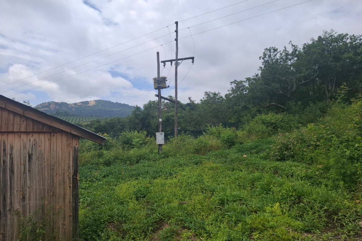 A view of a rural farm area featuring a wooden shed, utility pole with an electrical transformer, and surrounding natural vegetation.