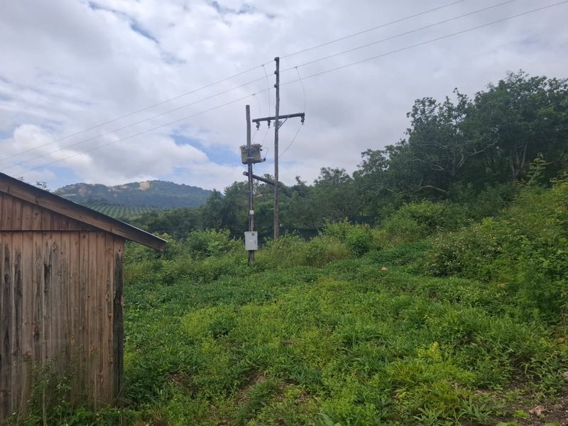 A view of a rural farm area featuring a wooden shed, utility pole with an electrical transformer, and surrounding natural vegetation.