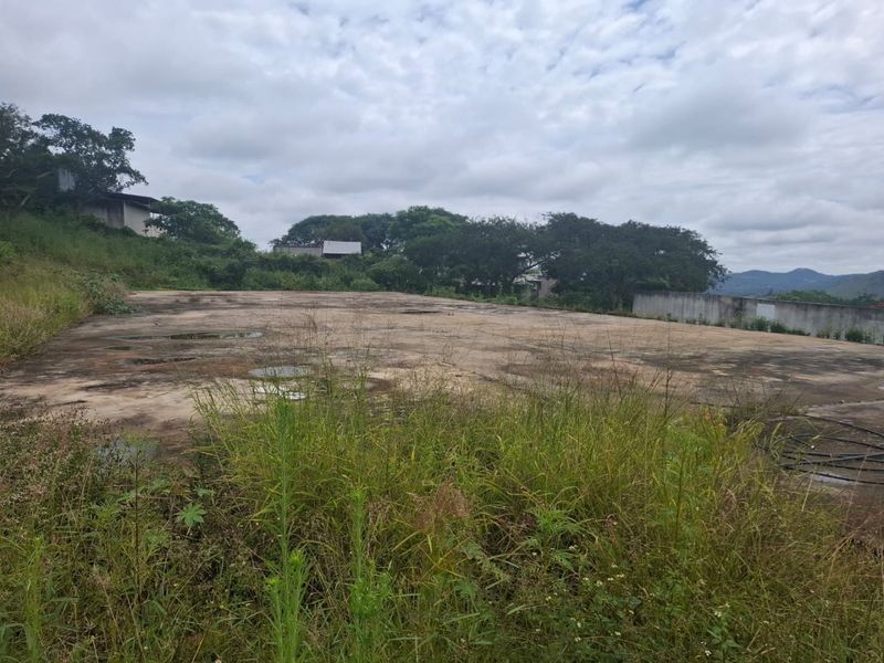 An expansive, weathered concrete slab area on a farm property, surrounded by overgrown vegetation and a retaining wall, suitable for development or agricultural use.