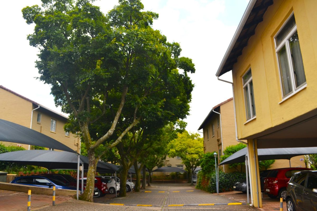 Upper Level Two Bed One Bath To Let at Calais - Photo 4