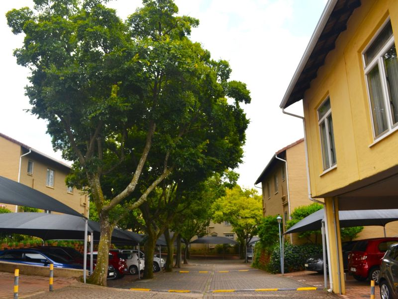 Upper Level Two Bed One Bath To Let at Calais - Photo 4