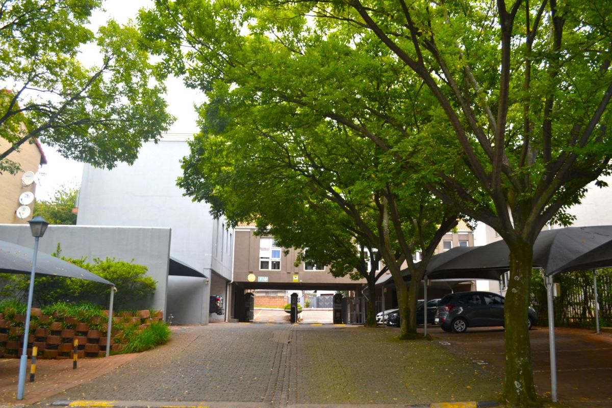 Upper Level Two Bed One Bath To Let at Calais - Photo 3