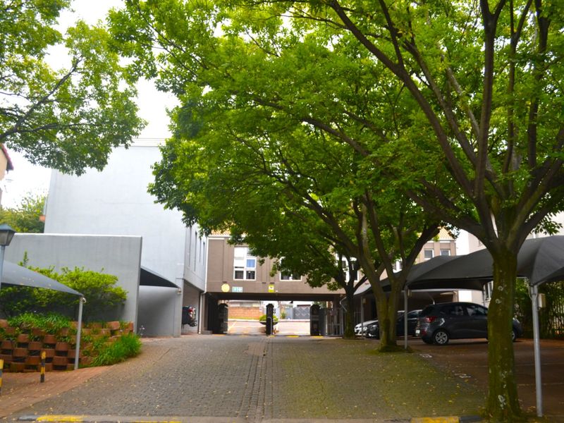 Upper Level Two Bed One Bath To Let at Calais - Photo 3