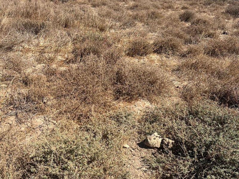 VACANT LAND FOR SALE IN KAPTEINS KLOOF ST HELENA BAY - Photo 6