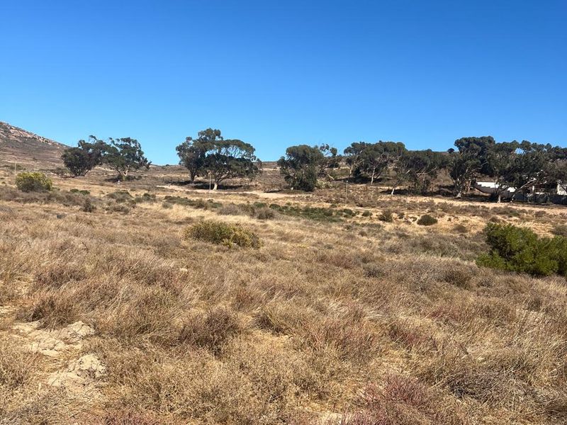 VACANT LAND FOR SALE IN KAPTEINS KLOOF ST HELENA BAY - Photo 5