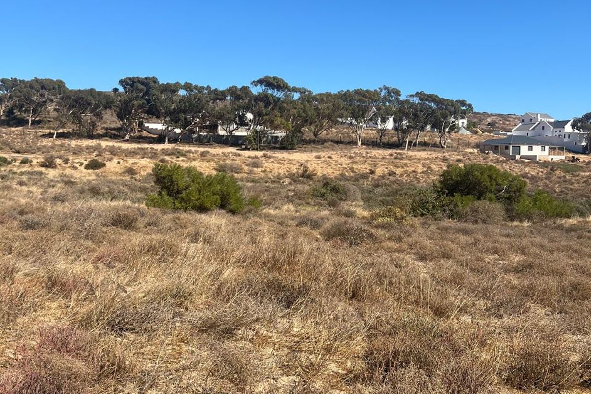 A view of the vacant residential land featuring natural dry vegetation and surrounding neighborhood properties in the distance.