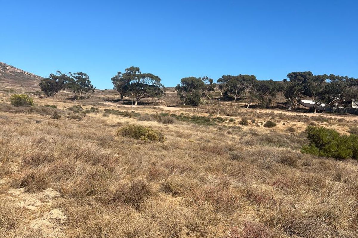 A view of the vacant residential land featuring natural vegetation and a gentle slope under a clear blue sky.