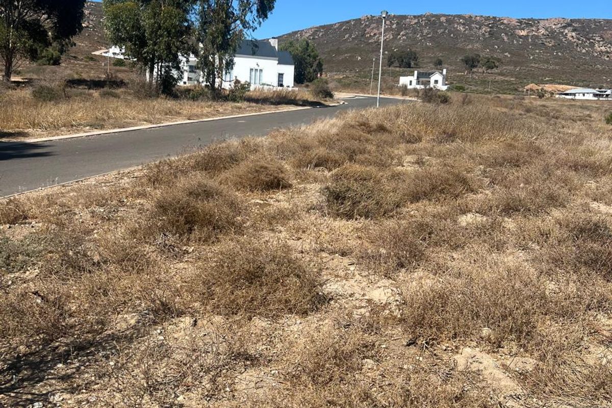 A view of a vacant residential plot featuring dry natural vegetation, adjacent to a paved road with distant mountain views.