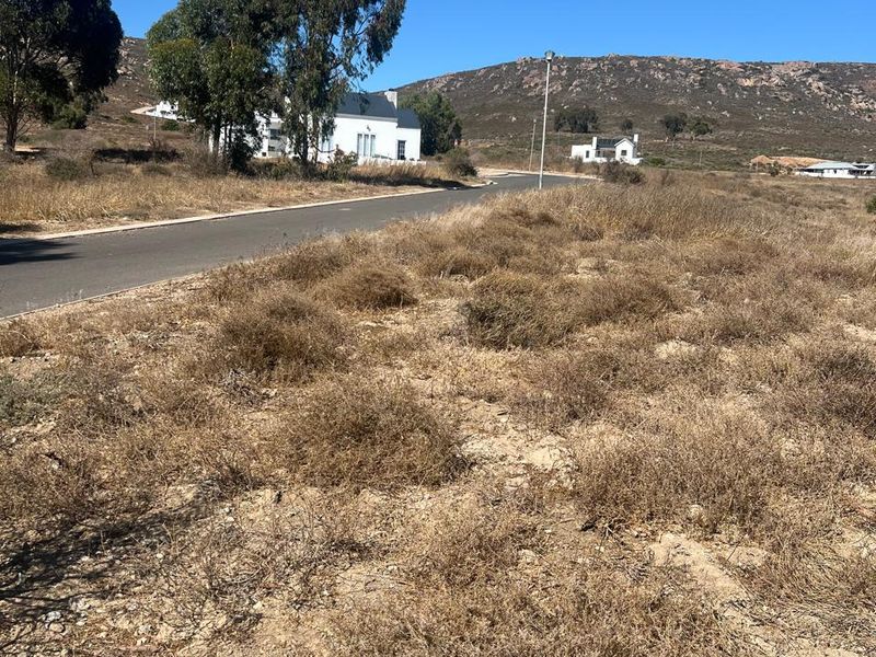 A view of a vacant residential plot featuring dry natural vegetation, adjacent to a paved road with distant mountain views.