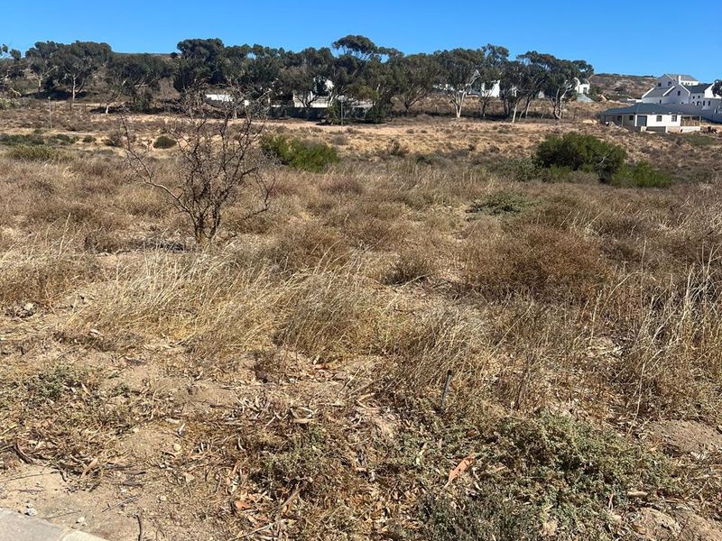 A vacant residential plot featuring natural vegetation and a gentle slope, offering a blank canvas for future development in a quiet neighborhood.